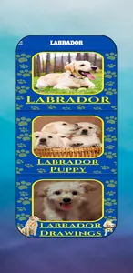 Labrador Puppy & Lab Images screenshot 0