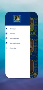 Labrador Puppy & Lab Images screenshot 1