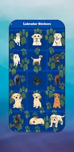 Labrador Puppy & Lab Images screenshot 4
