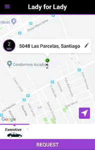 LADY FOR LADY: pasajero screenshot 1