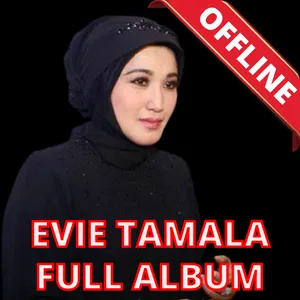 Lagu Evie Tamala Full Offline screenshot 3