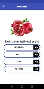 Turkish For Kids screenshot 7