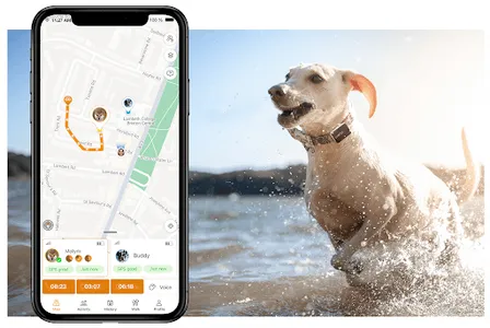 Pawfit GPS Pet Tracker screenshot 0