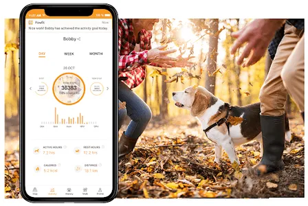 Pawfit GPS Pet Tracker screenshot 6