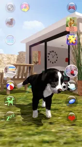 Talking Dogs screenshot 17