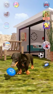 Talking Dogs screenshot 18