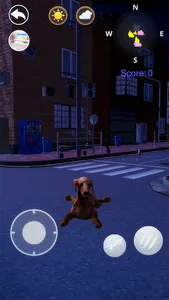 Talking Dogs screenshot 6