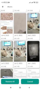 استرجاع الصور المحذوفة screenshot 3