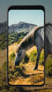 Horse Wallpapers screenshot 0