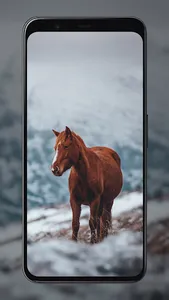 Horse Wallpapers screenshot 1