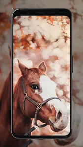 Horse Wallpapers screenshot 15