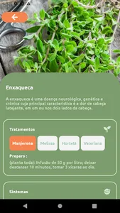 Fitoterapia-Plantas Medicinais screenshot 2