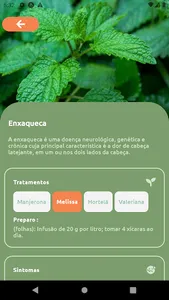 Fitoterapia-Plantas Medicinais screenshot 3