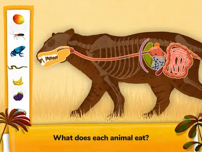 How do Animals Work? screenshot 12