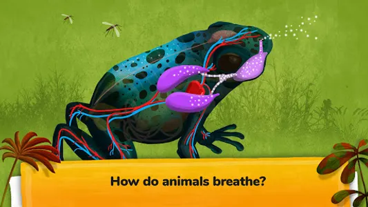 How do Animals Work? screenshot 2