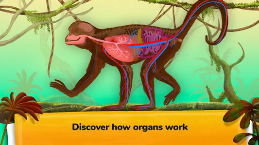 How do Animals Work? screenshot 3