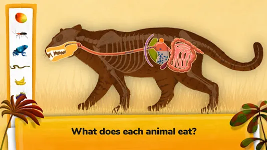 How do Animals Work? screenshot 4