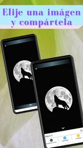 Fondos de Pantalla Animales screenshot 3