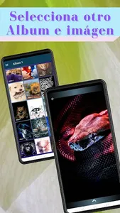 Fondos de Pantalla Animales screenshot 4
