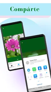 Imágenes de Naturaleza screenshot 5