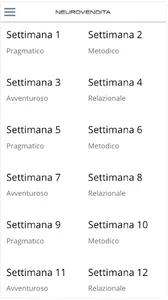 NeuroVendita screenshot 5