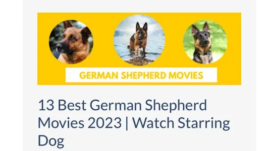 letthemoviesgowild screenshot 11