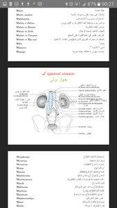 Lexique médical français/arabe screenshot 1
