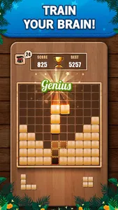 Wooden 100 Block Puzzle Game screenshot 0