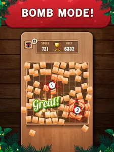 Wooden 100 Block Puzzle Game screenshot 12