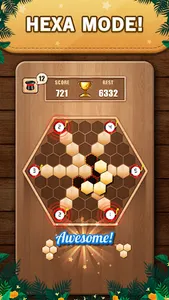 Wooden 100 Block Puzzle Game screenshot 6