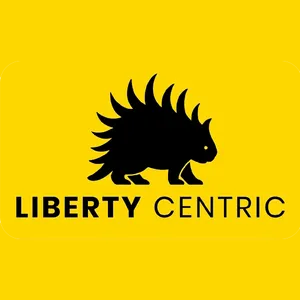 Liberty Centric screenshot 9