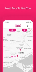 Lichi screenshot 2