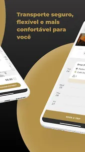 TeuBus screenshot 1