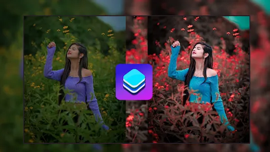Lighty: LR Filter, Presets screenshot 1