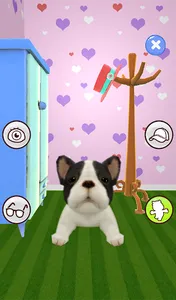 Talking Dog screenshot 15