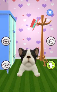 Talking Dog screenshot 22