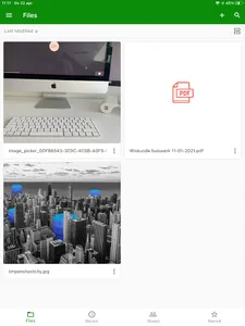 BearDrive screenshot 11