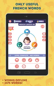 French for Beginners: LinDuo screenshot 17