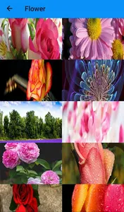 2020 Monthly HD Wallpaper screenshot 14