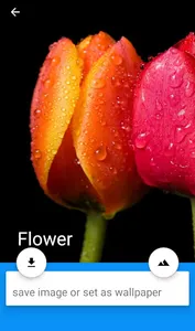 2020 Monthly HD Wallpaper screenshot 3