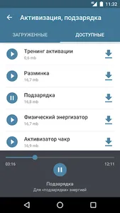 LINGVOSTIM 2.0 screenshot 2