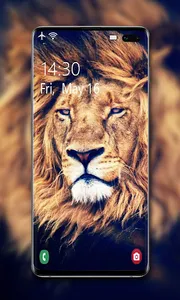 Lion Wallpaper screenshot 1