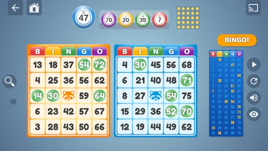Bingo Set screenshot 0