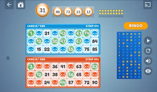 Bingo Set screenshot 12