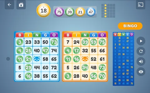 Bingo Set screenshot 14