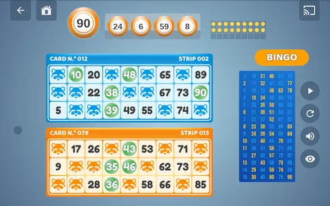 Bingo Set screenshot 18