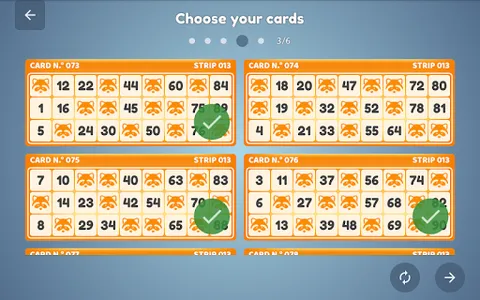 Bingo Set screenshot 19