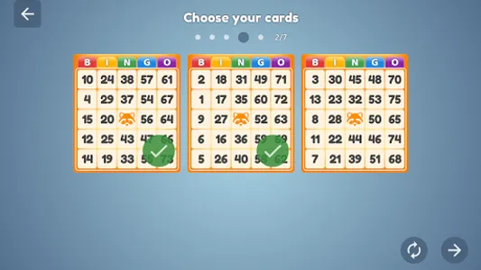 Bingo Set screenshot 4
