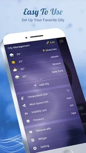 Weather Forecast screenshot 14