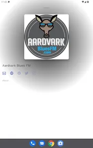 Aardvark Blues FM screenshot 5